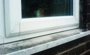 Dirty Window Gutter