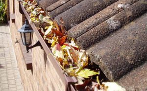 Ceramic Roof